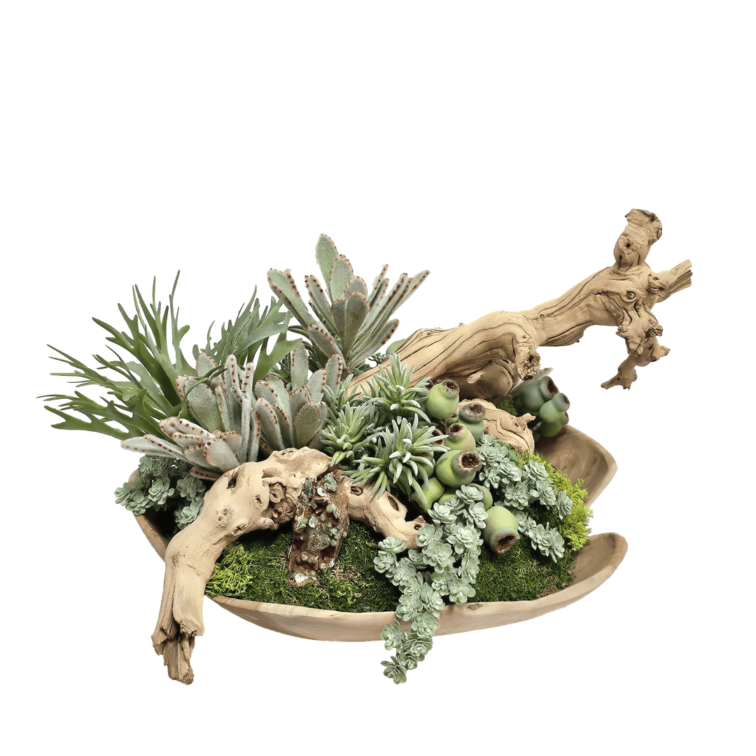 Various Succulents, Grapewood, Fern, Specimen Crystal in Wood Bowl 13.75"H - LDF Silk