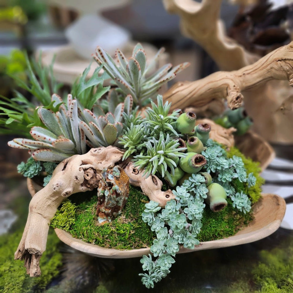 Various Succulents, Grapewood, Fern, Specimen Crystal in Wood Bowl 13.75"H - LDF Silk