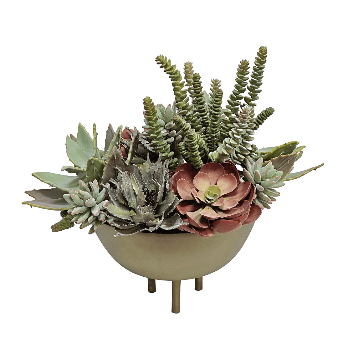 Various Succulents in Footed Bowl 16"H - LDF Silk