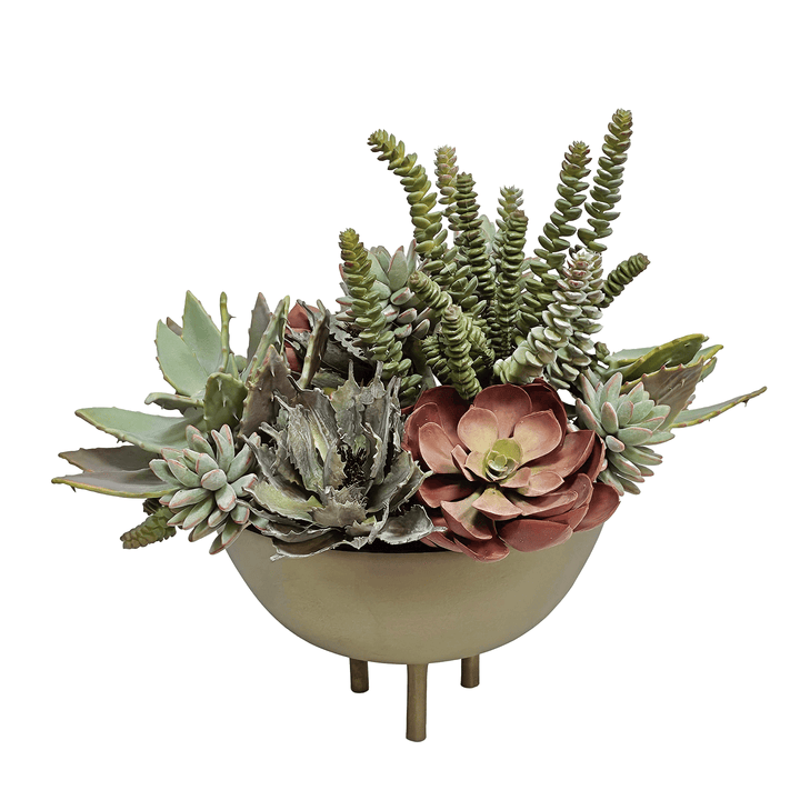 Various Succulents in Footed Bowl 16"H - LDF Silk