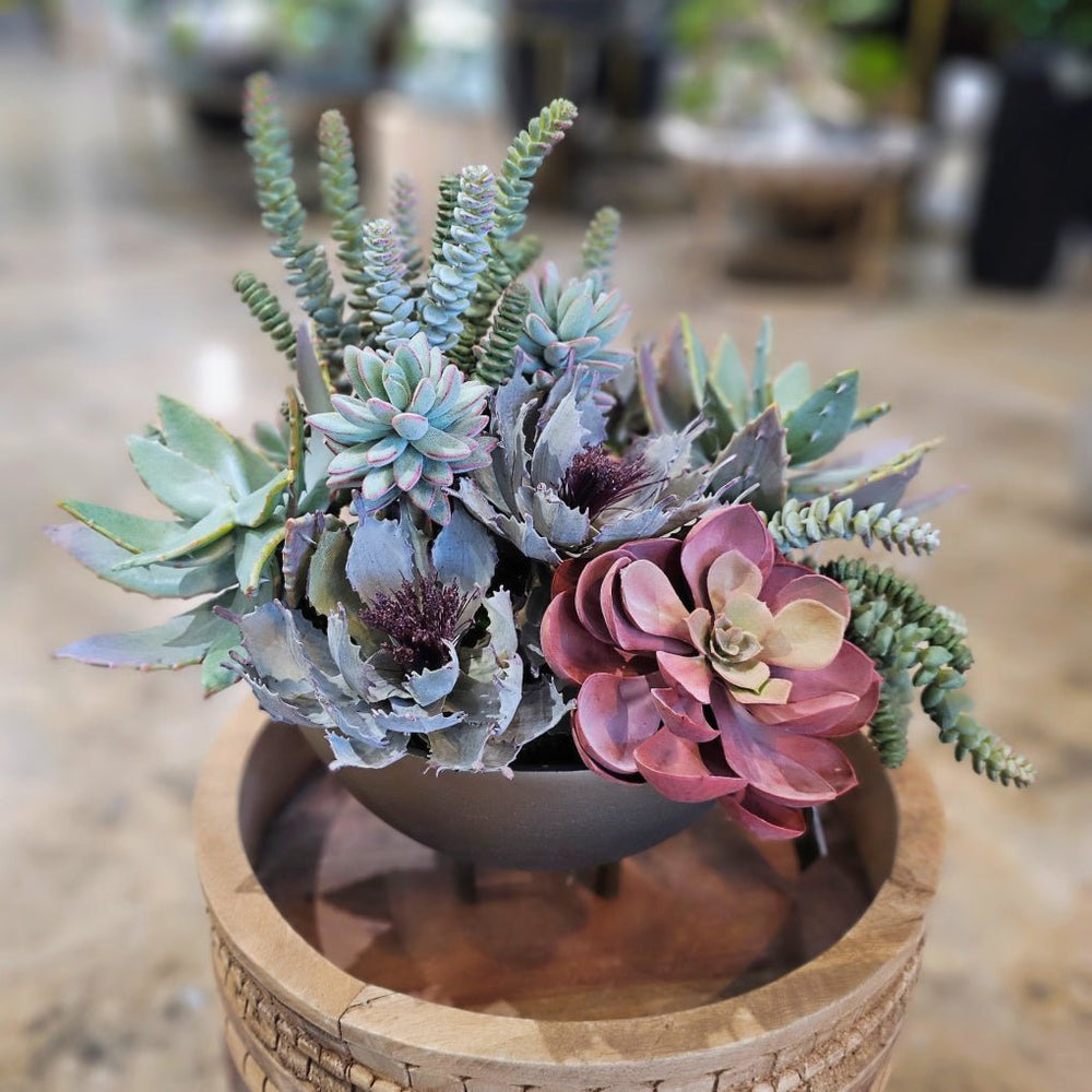 Various Succulents in Footed Bowl 16"H - LDF Silk