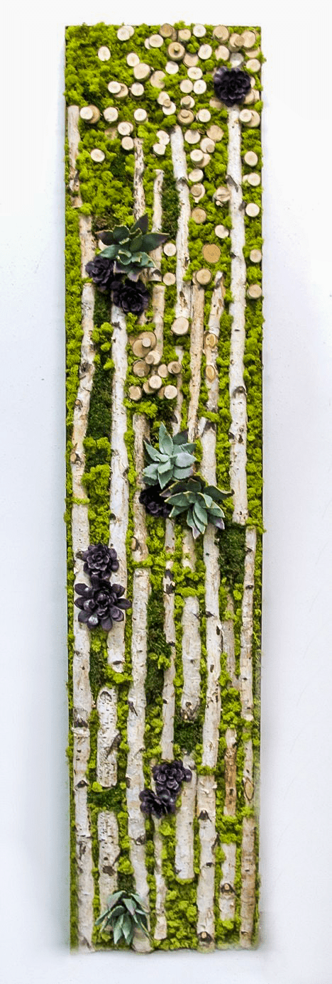 Wall Art Featuring Birch with Succulents and Reindeer Moss in Metal Frame - LDF SilkSucculent