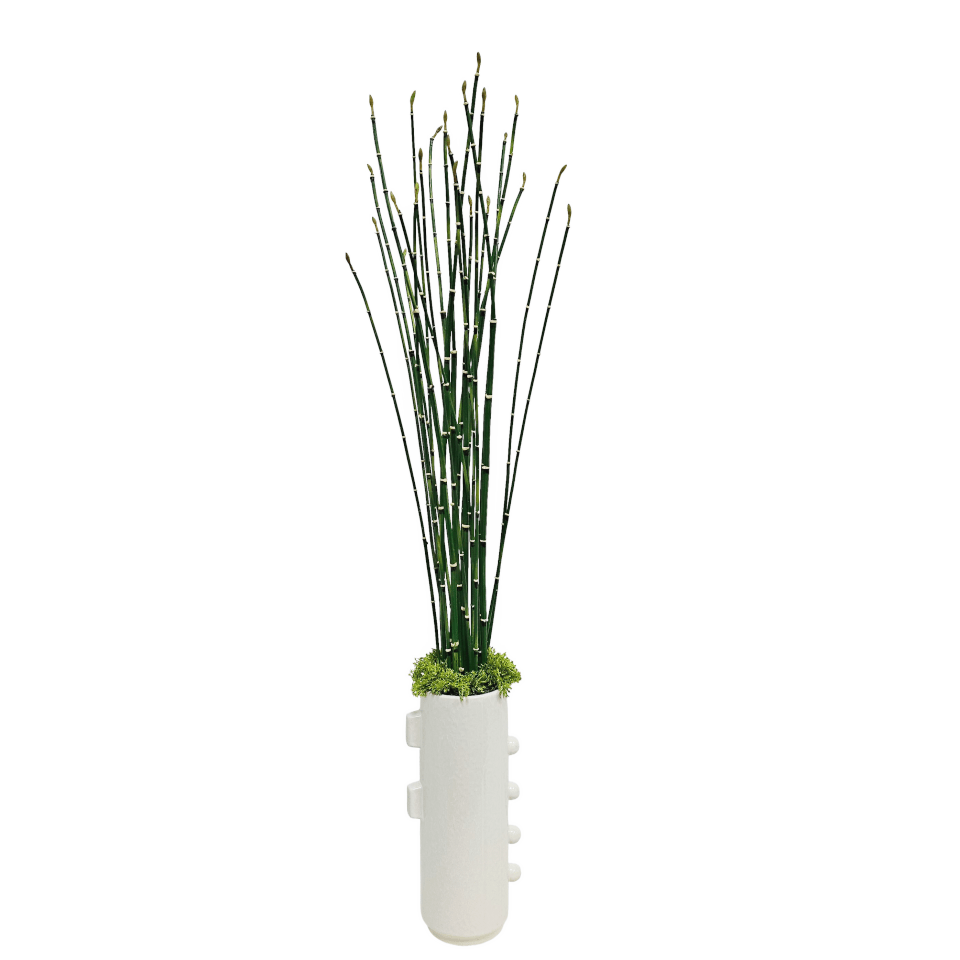 Water Bamboo in Ceramic Vase 35"H X 9"DIA - LDF Silk