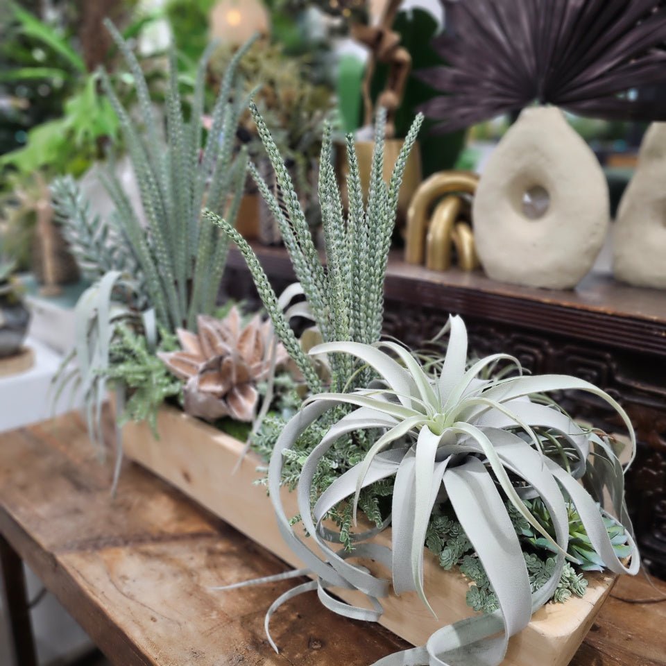 Wheat Grass, Tillandsia, Senecio, Star Pod and Sedum in Wood Planter 32"H - LDF Silk