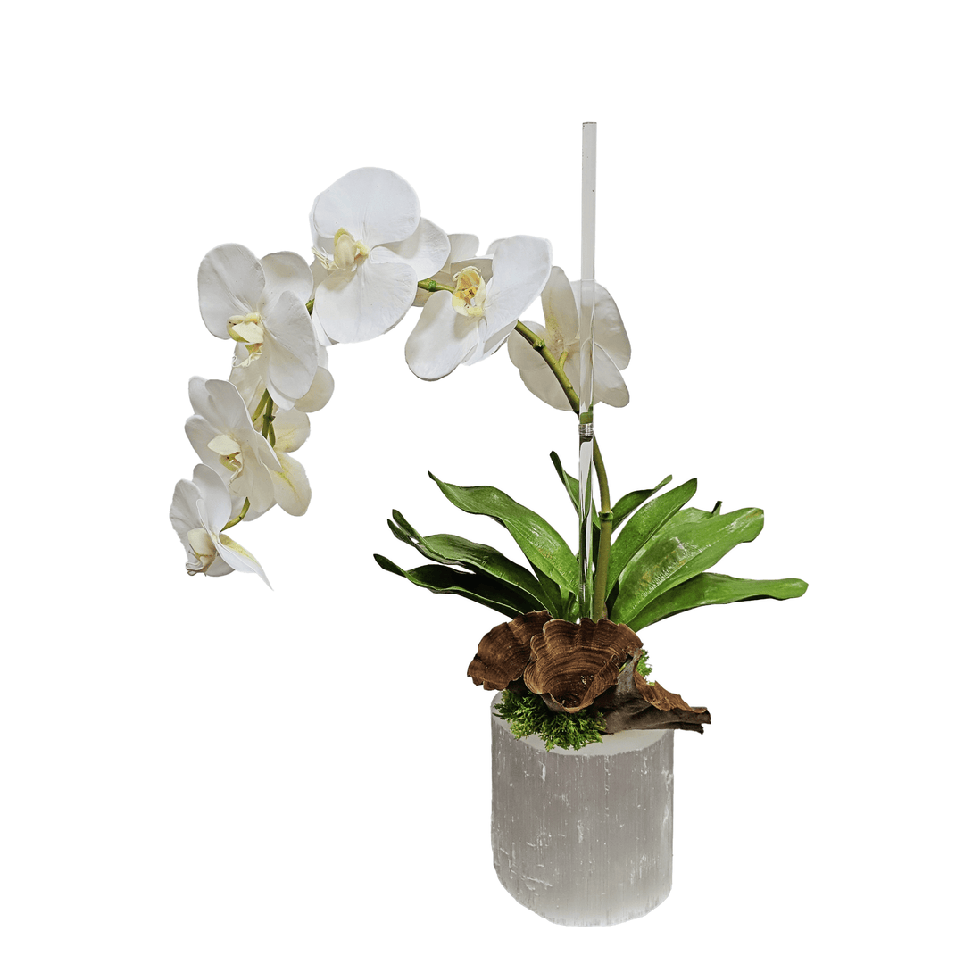 White Phalaenopsis Orchid with Calice in Selenite Vase 22"H - LDF Silk