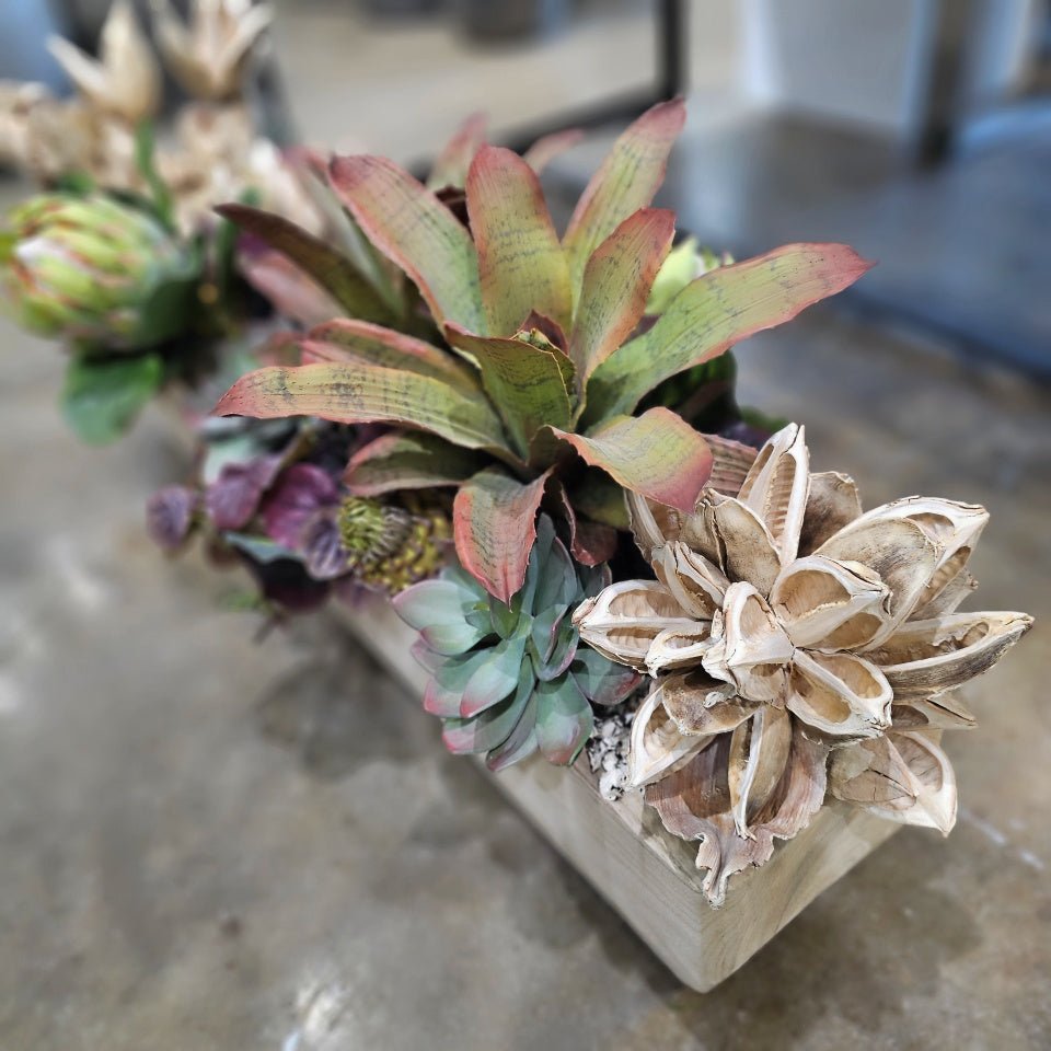 Wood Specimen, Succulents, Protea and Sora Pods in Wood Container 20"H - LDF Silk