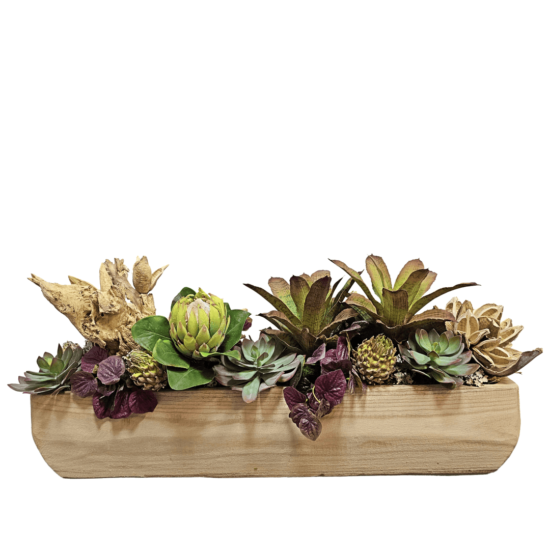Wood Specimen, Succulents, Protea and Sora Pods in Wood Container 20"H - LDF Silk