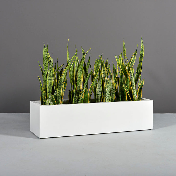 Low Rectangular Fiberglass Planter for Indoor and Outdoor Use