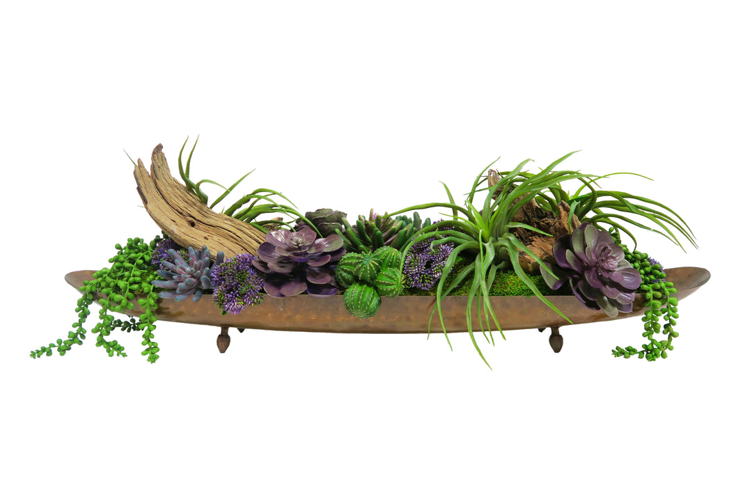 Succulents, Cactus with Ghostwood in Container