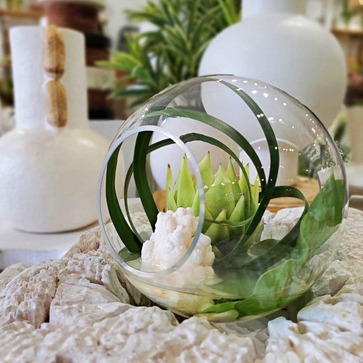 Protea, Natural Crystal, Tropical Leaves in Glass Globe Terrarium