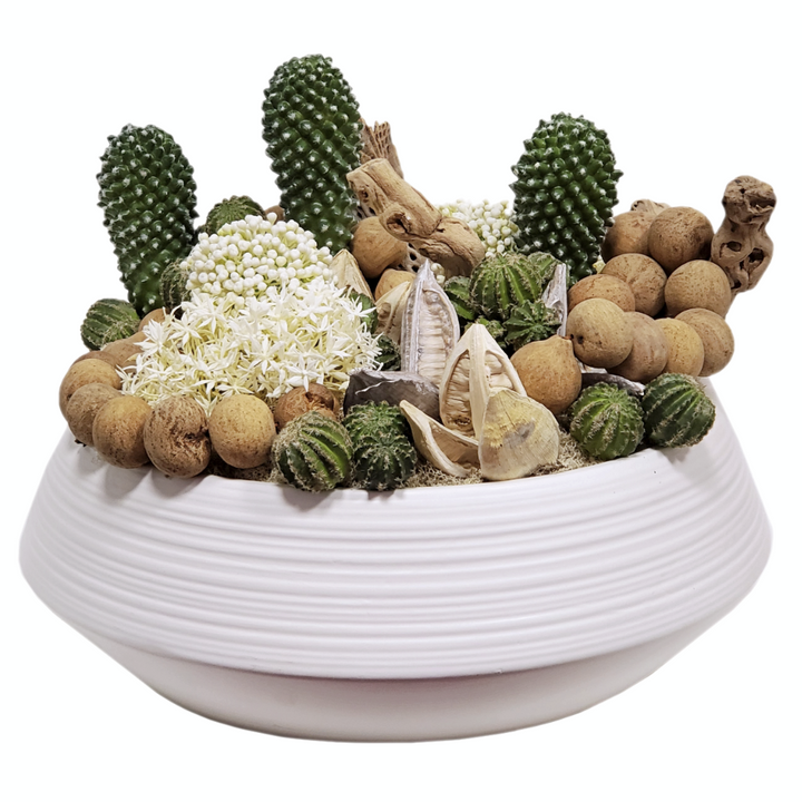 Cactus, Grapewood, Allium, Sora Pods and Gourd Garland in Ceramic 13"H