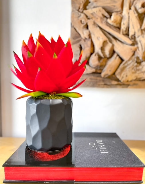 Giant Protea in Ceramic