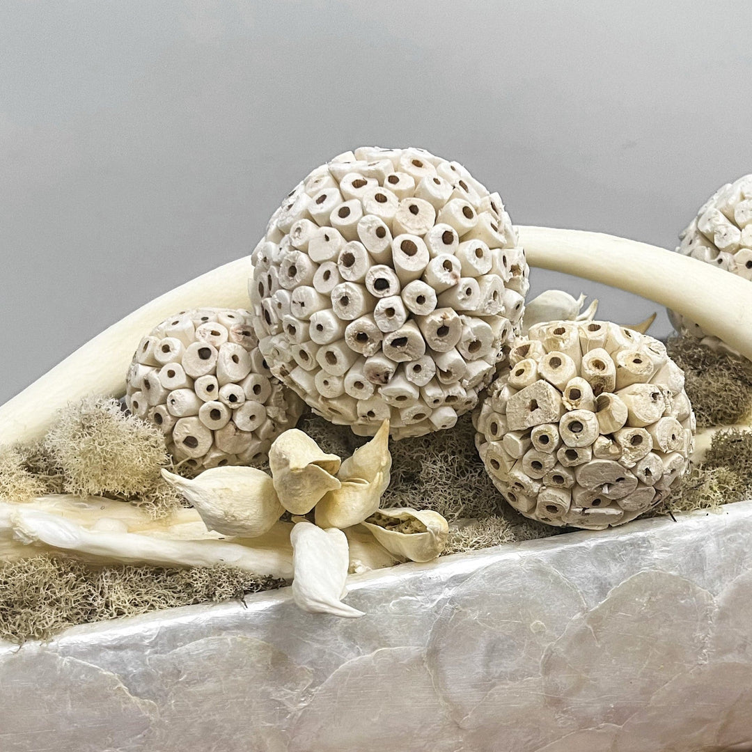 Dried Elements in Bowl