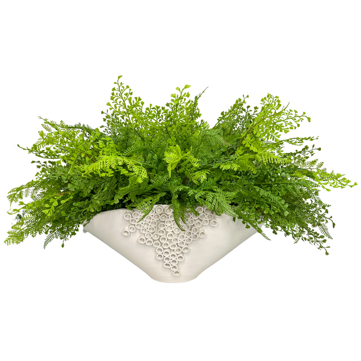 Ferns in Bowl