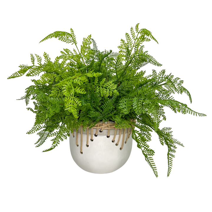 Leather Fern in Ceramic