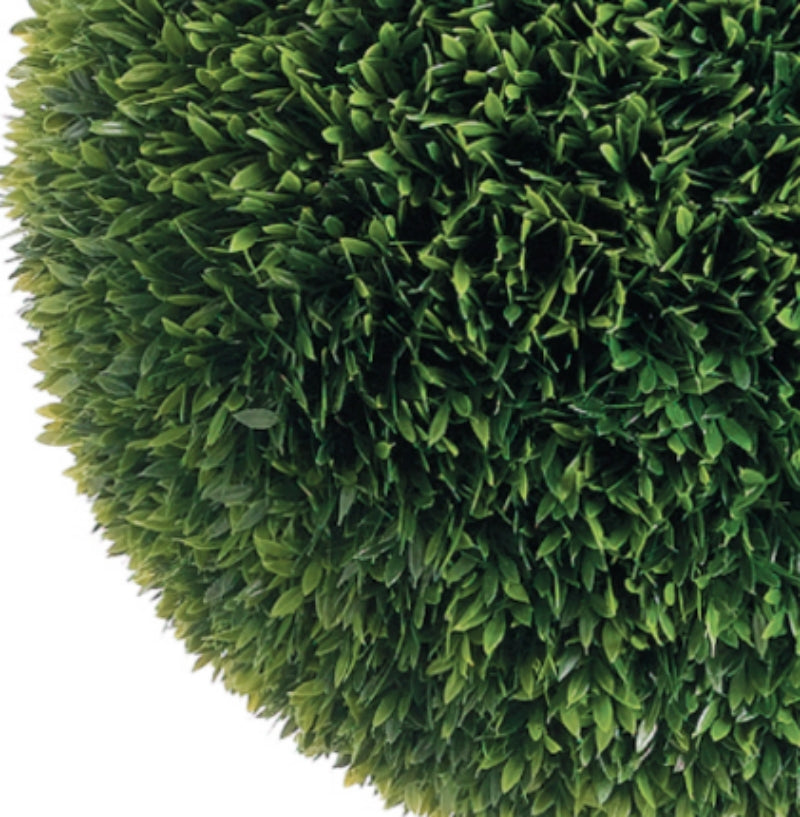 Outdoor Tea Leaf Ball in Growers Pot Available in Various Sizes