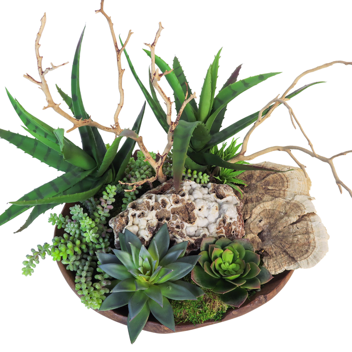 Mixed Succulents, Sponge Mushrooms, Geode and Manzanita Branches in Bowl