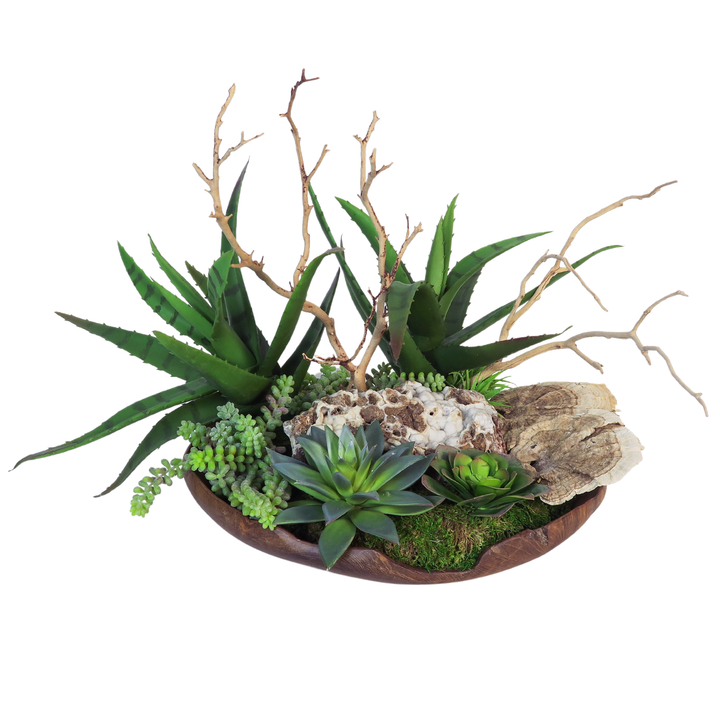 Mixed Succulents, Sponge Mushrooms, Geode and Manzanita Branches in Bowl