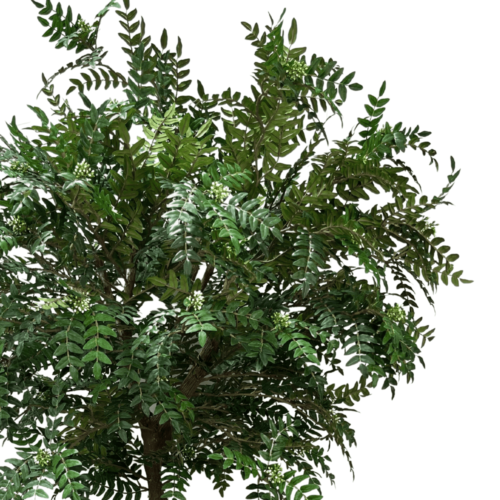 Acacia Tree on Single Trunk - Lollipop Style - Various Sizes Available - LDF SilkArtificial Flora