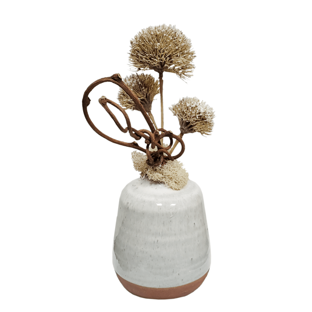Allium, Kiwi and Reindeer Moss in Ceramic 10"H - LDF Silk