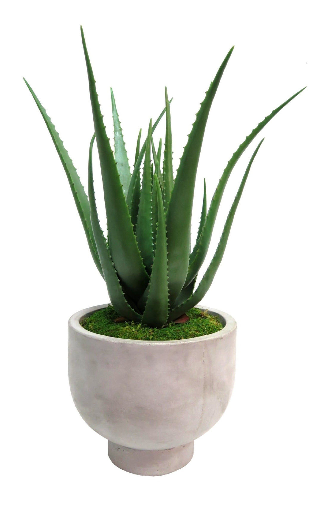 Aloe in Planter - LDF Silkplants