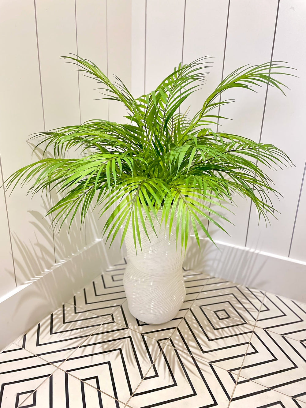 Areca Palm in Ceramic - LDF Silkplants