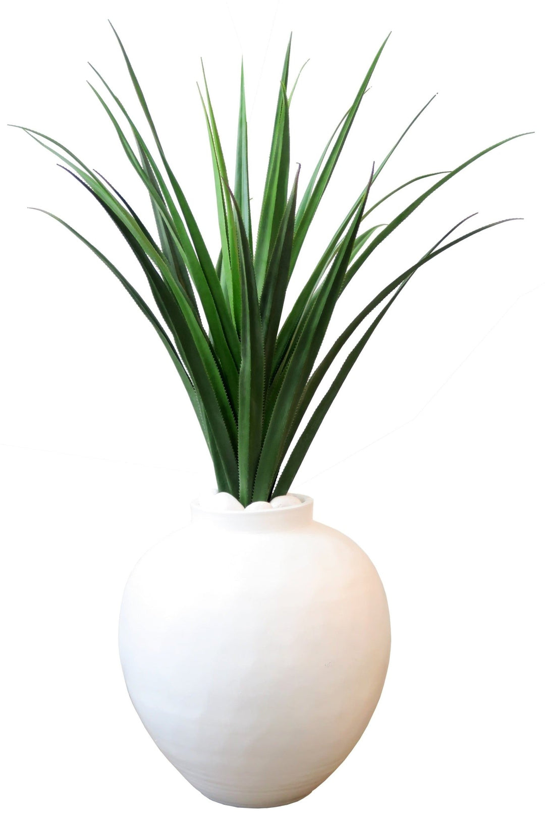 Australian Dracaena in Terracotta Vessel - LDF Silkplants
