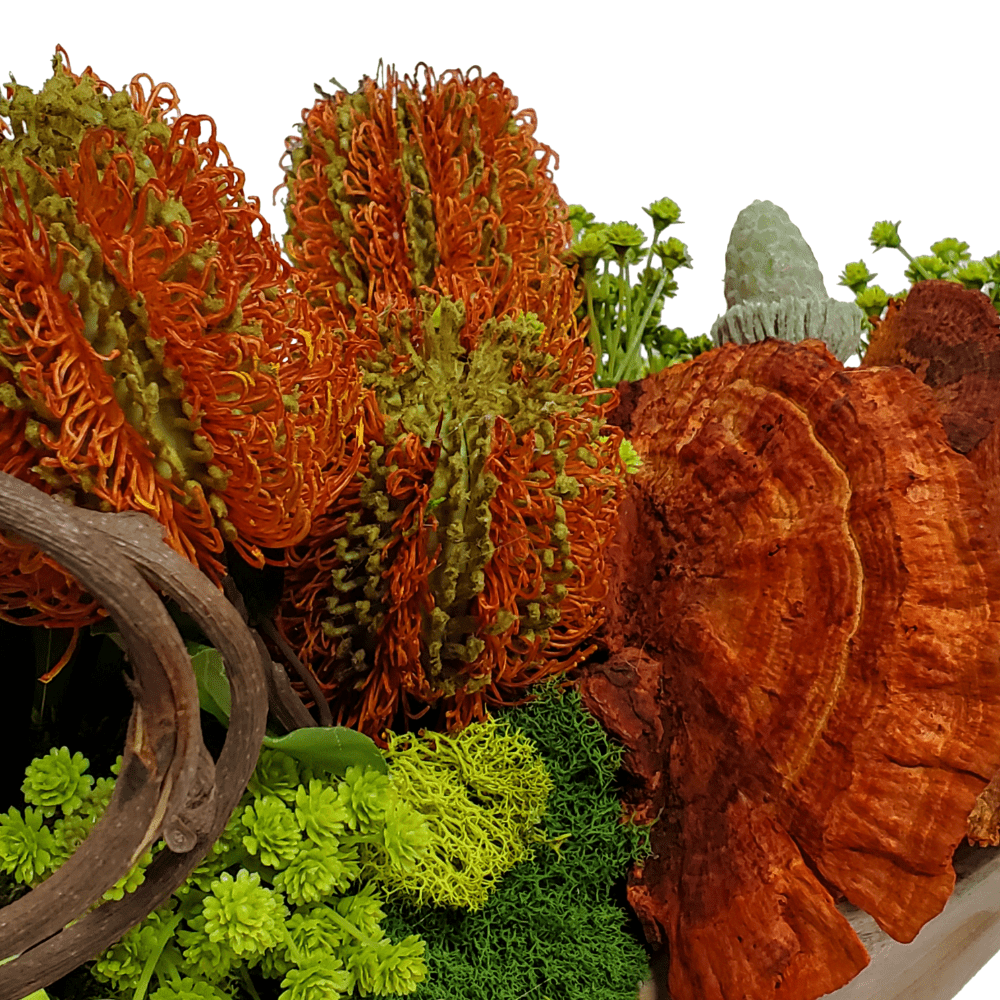 Banksia and Dried Mushrooms, Succulents, Baby's Breath and Kiwi in Boat 12"H - LDF Silk