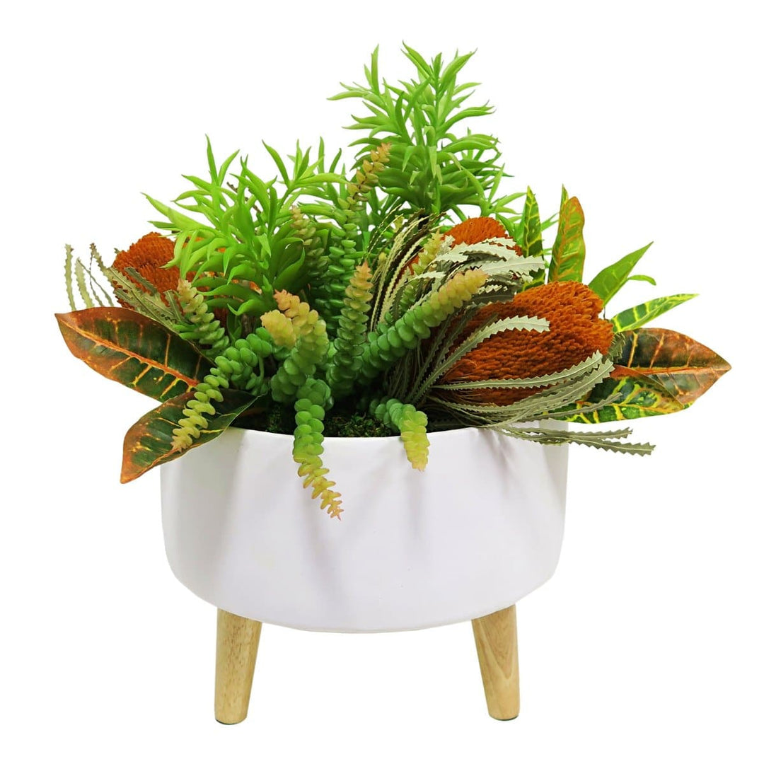 Banksia, Croton and Mixed Succulents in Container - LDF SilkSucculent