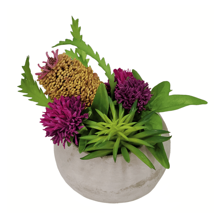 Banksia with Clover and Succulent in Container 8"H - LDF Silk