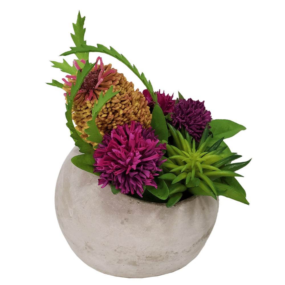Banksia with Clover and Succulent in Container 8"H - LDF Silk