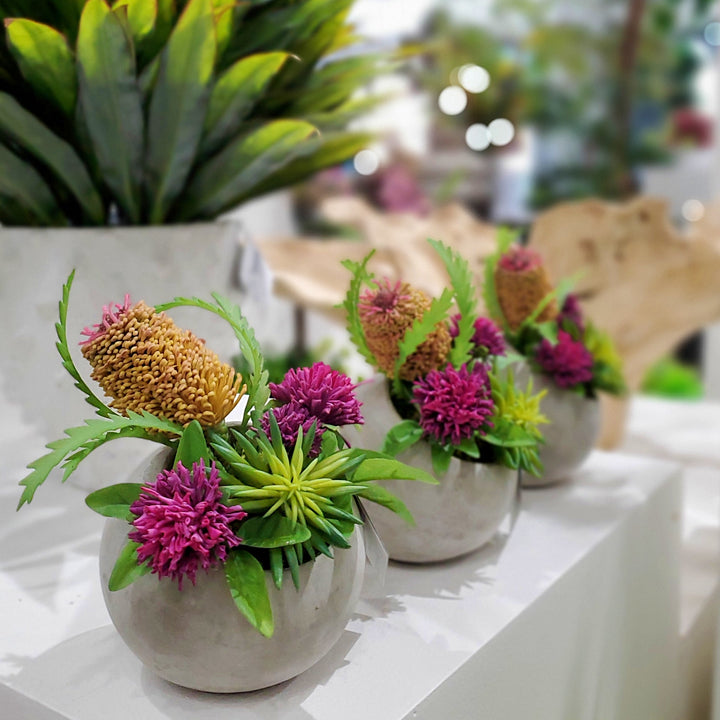 Banksia with Clover and Succulent in Container 8"H - LDF Silk