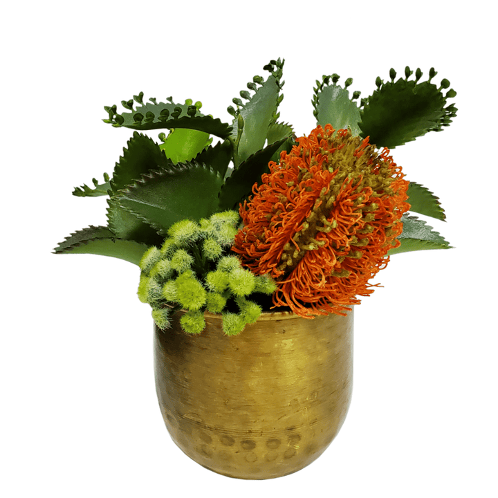 Banksia with Succulents in Container 8"H - LDF Silk