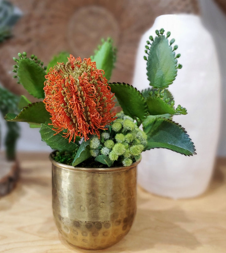 Banksia with Succulents in Container 8"H - LDF Silk