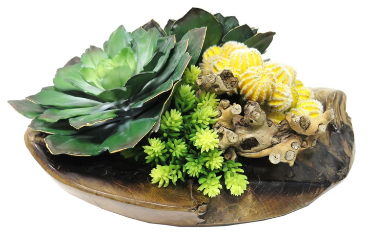 Barrel Cactus and Succulents in Bowl - LDF Silksucculents