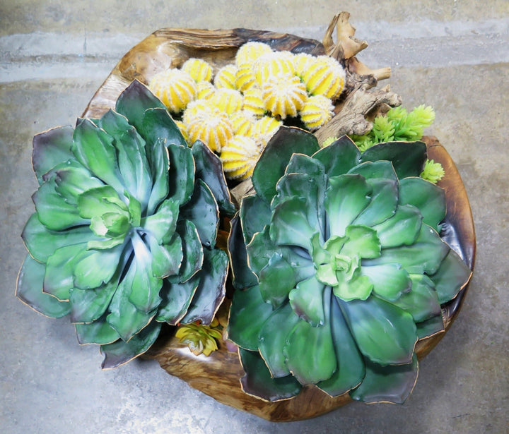 Barrel Cactus and Succulents in Bowl - LDF Silksucculents