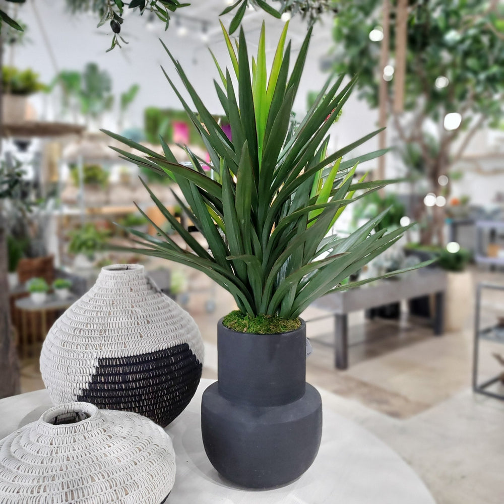 Brazil Yucca in Ceramic 43"H - LDF Silk