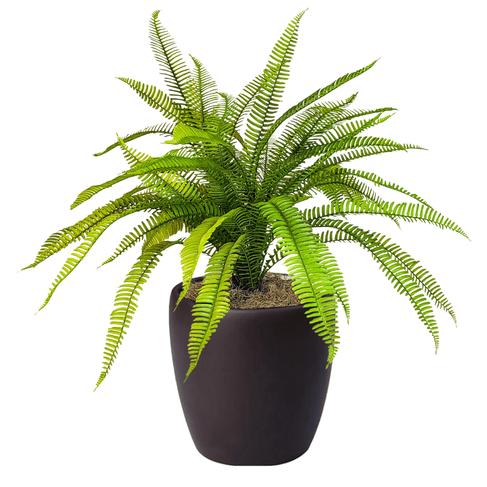 Bright Green Boston Fern in Pot - LDF Silkplants