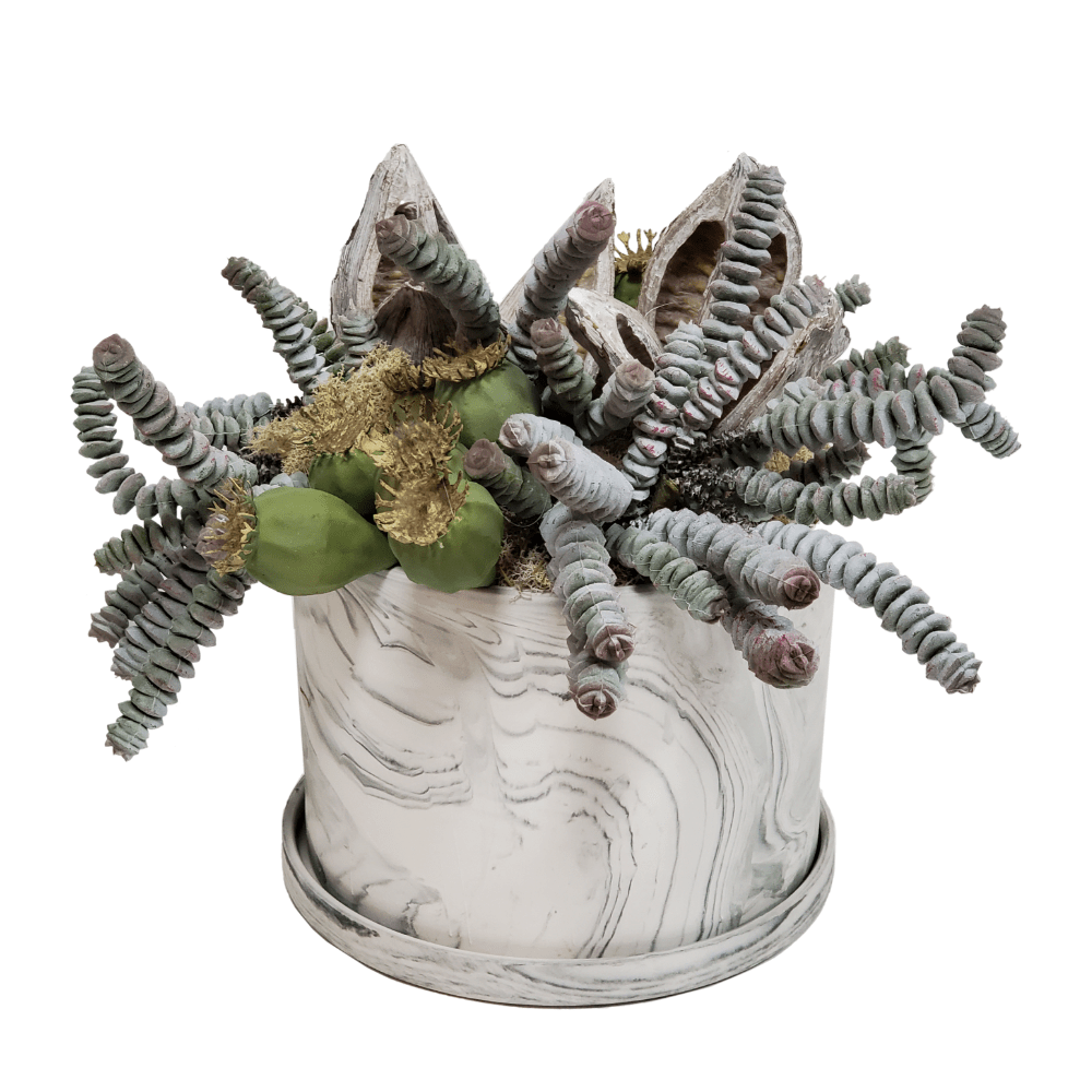 Burro Tail with Pods and Sora Pods in Ceramic 10"H - LDF Silk
