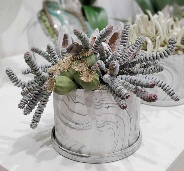 Burro Tail with Pods and Sora Pods in Ceramic 10"H - LDF Silk
