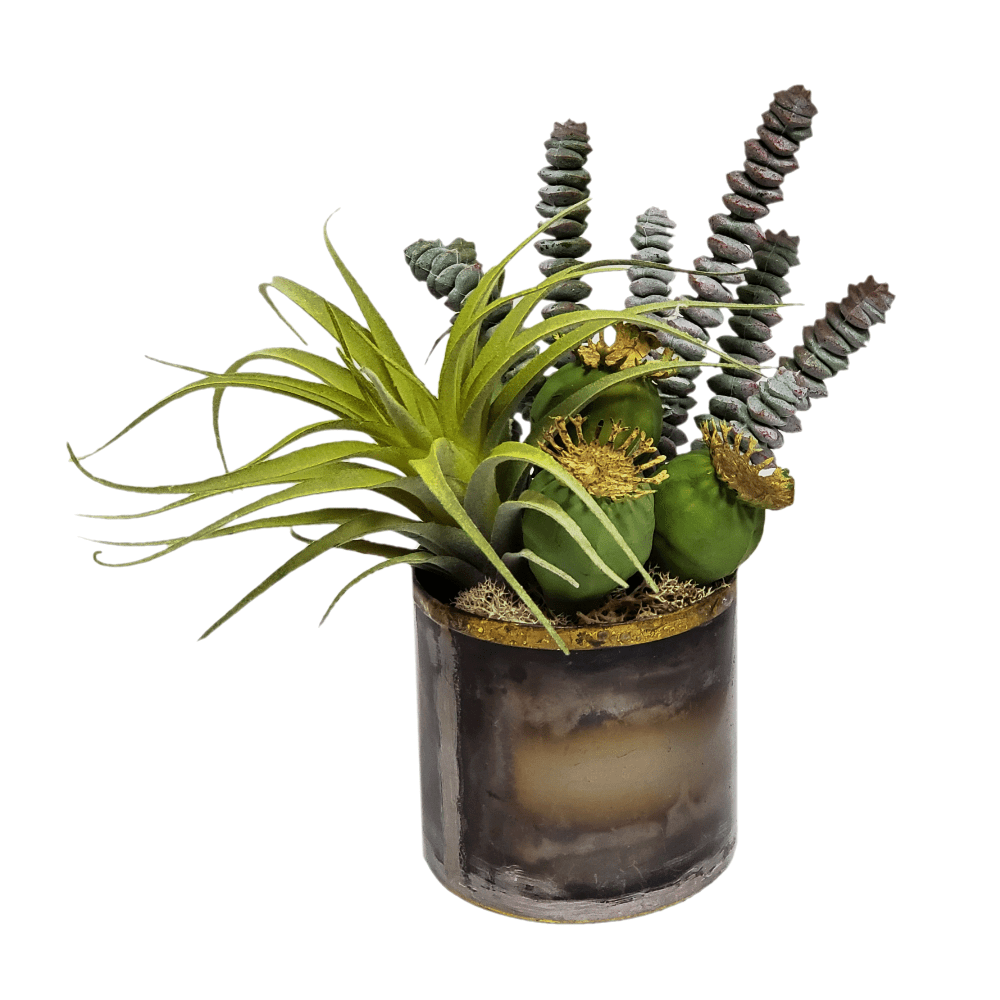 Burros Tail, Tillandsia and Pods in Container 7.5"H - LDF SilkArtificial Flora