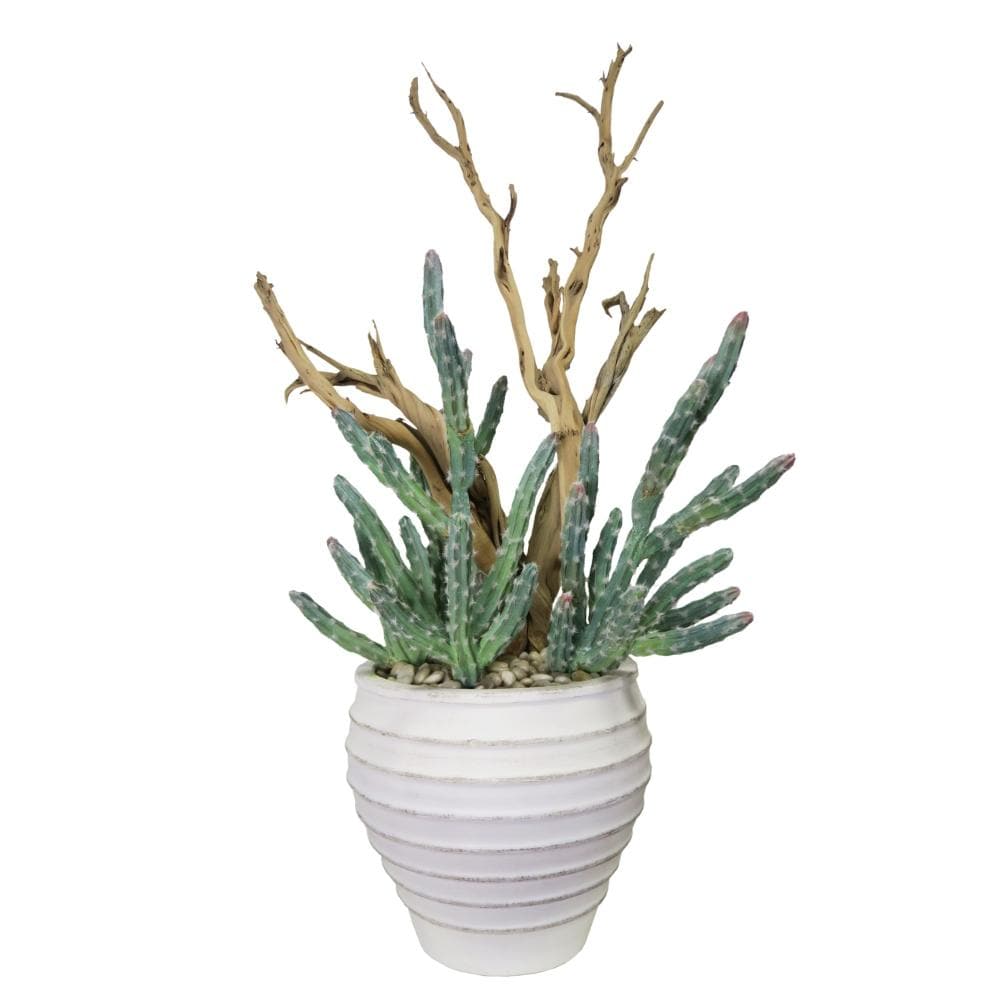 Cactus and Ghostwood Branch with River Rock Groundcover in Ceramic - LDF SilkSucculent