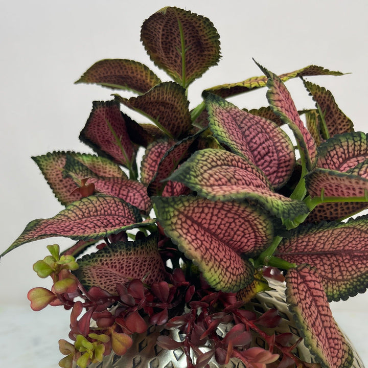 Coleus Leaves and Jade in Vase - LDF Silkplants