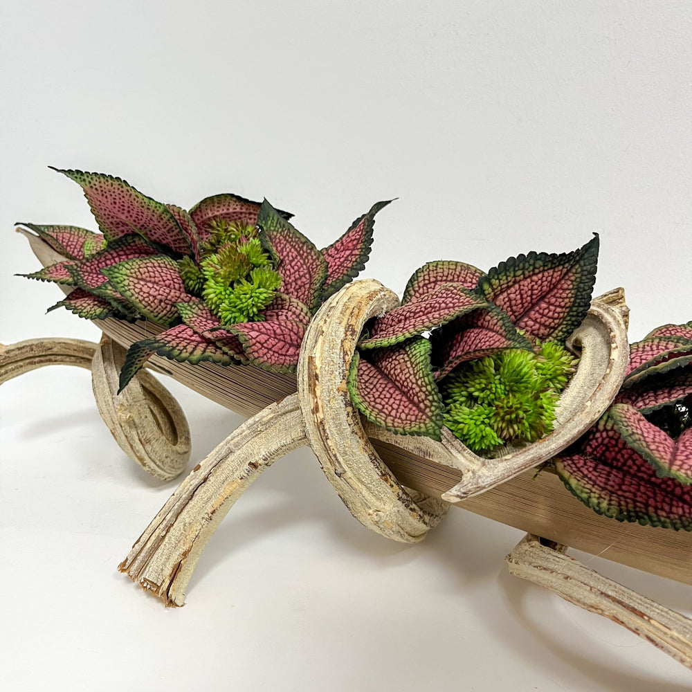 Coleus Leaves and Sedum in Coco Boat on Curly Branches - LDF Silkplants