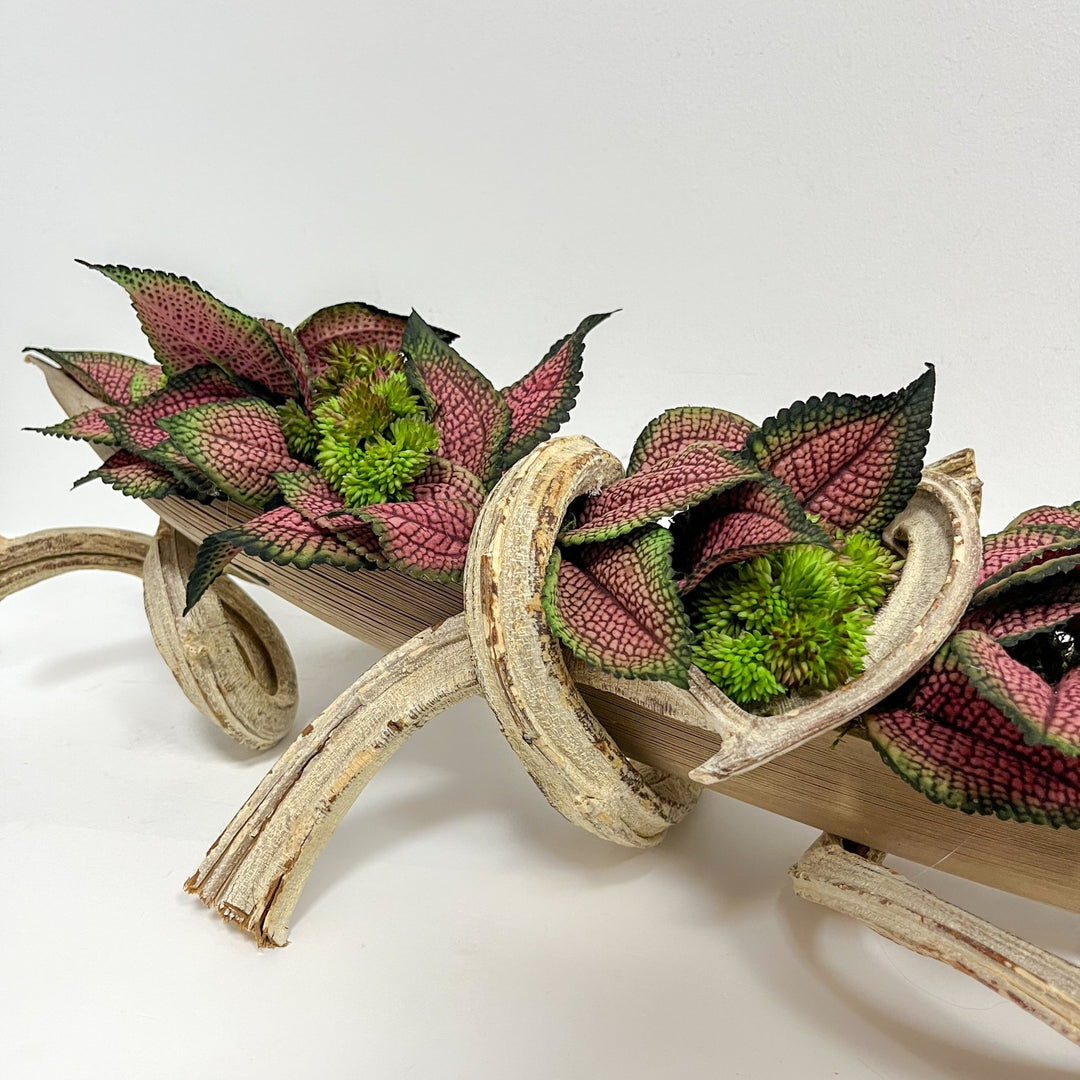 Coleus Leaves and Sedum in Coco Boat on Curly Branches - LDF Silkplants