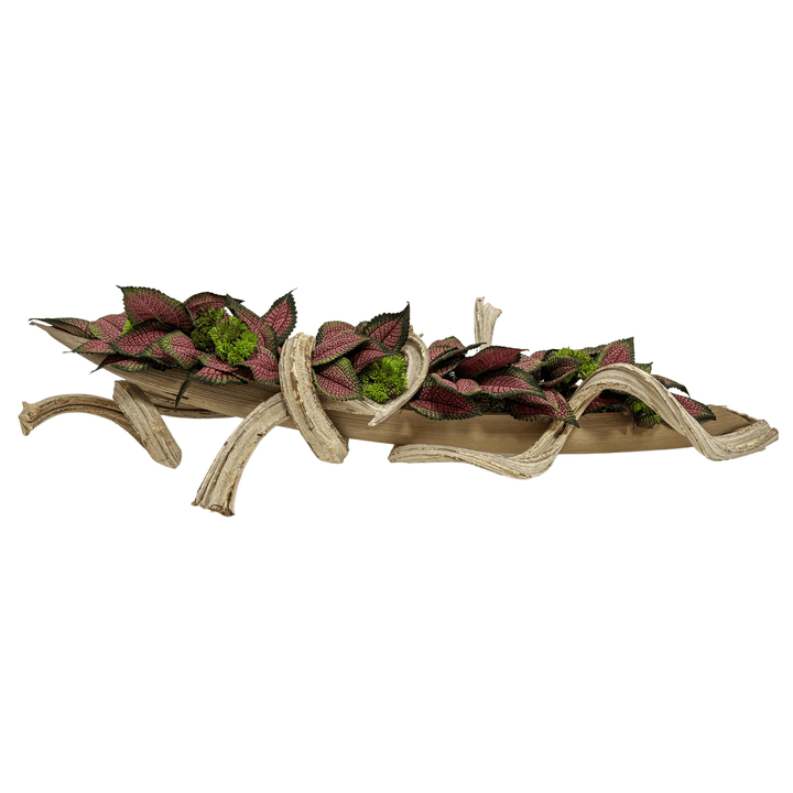 Coleus Leaves and Sedum in Coco Boat on Curly Branches - LDF Silkplants