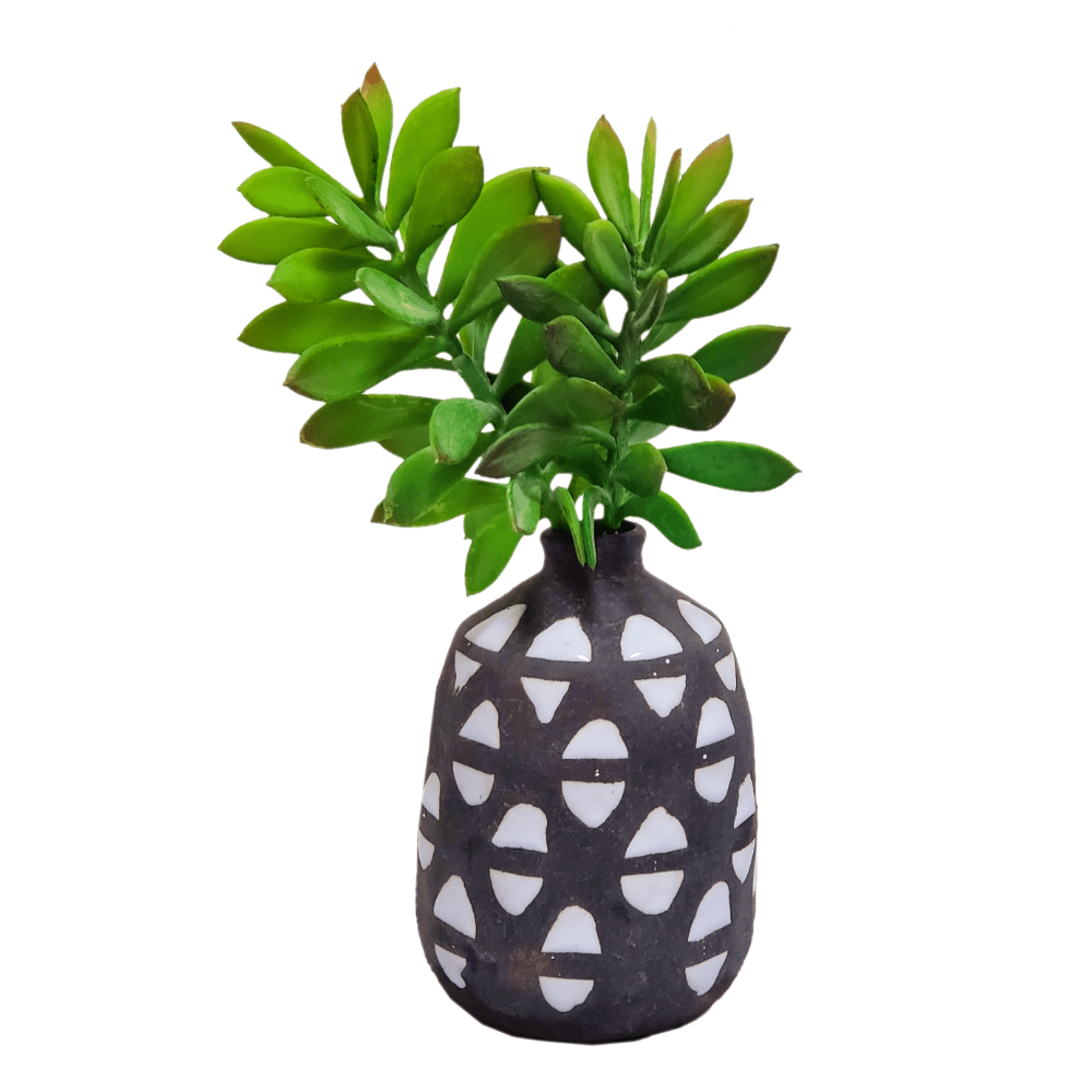 Crassula Succulent in Ceramic 10"H - LDF SilkArtificial Flora
