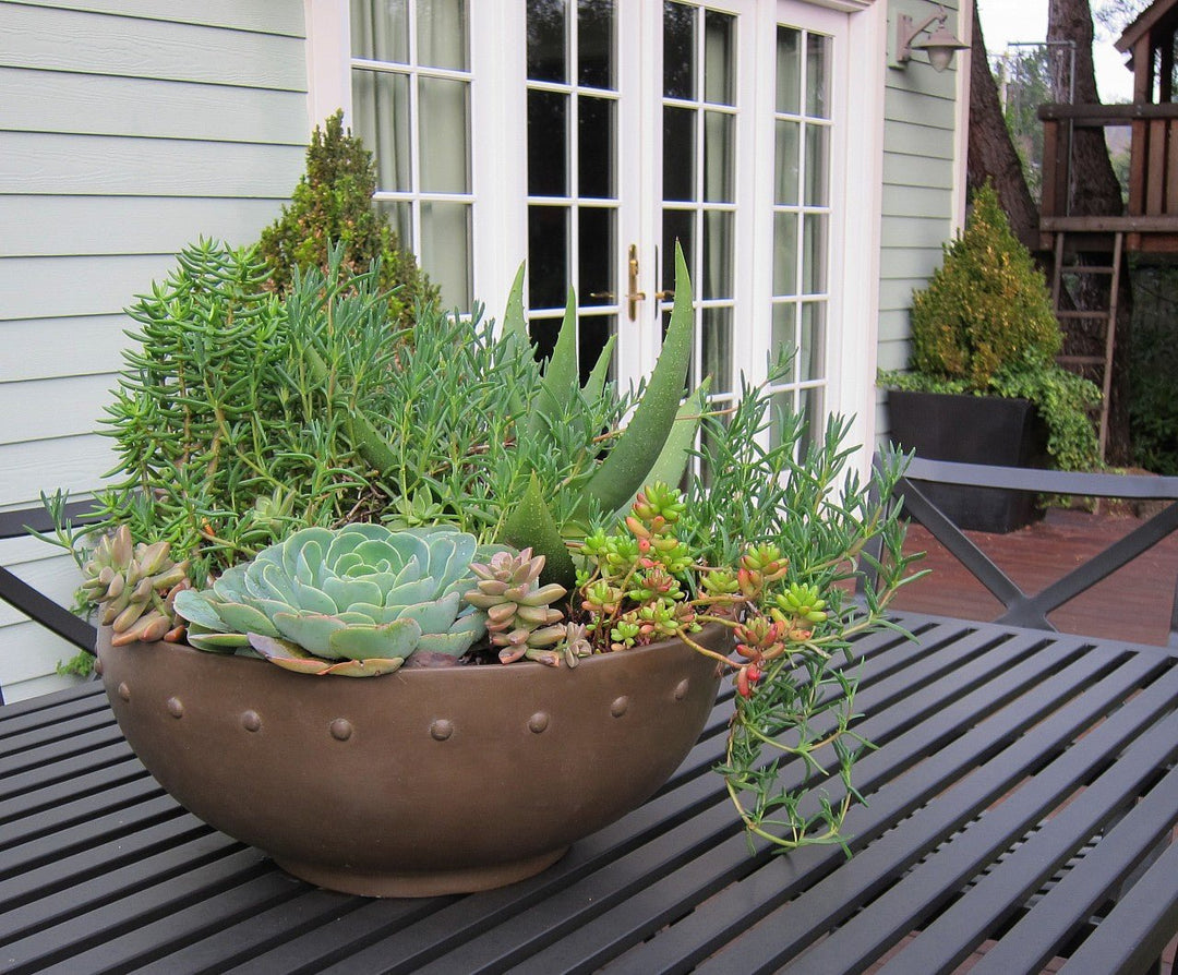Dotted - Detail Low Round Fiberglass Container - LDF SilkCONTAINERS