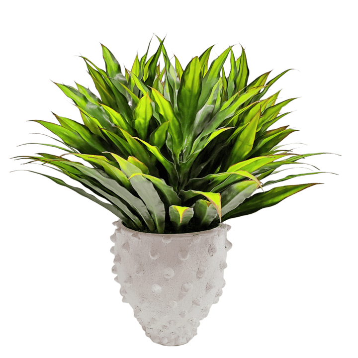 Dracaena Plant in Textured Container - LDF Silkplants