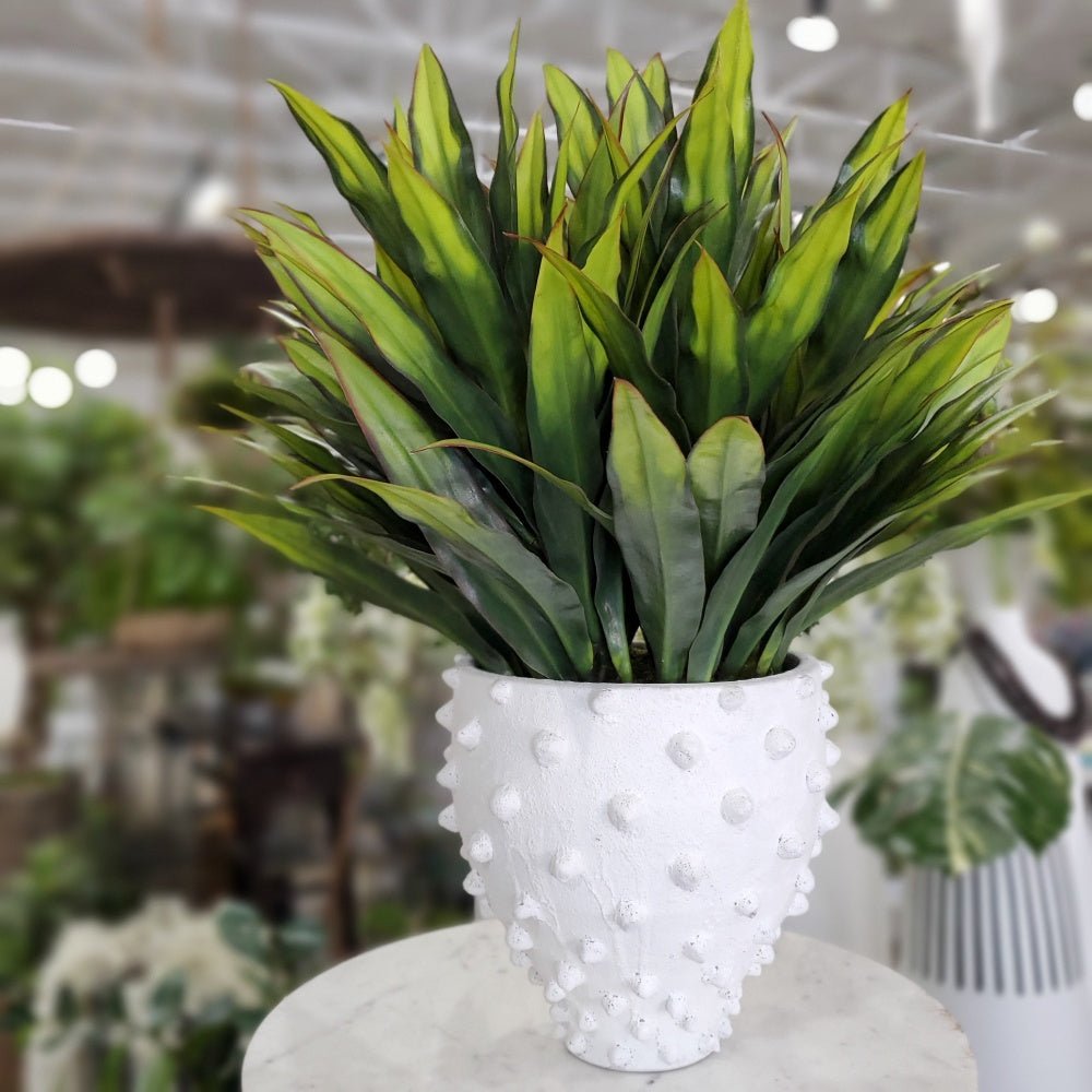 Dracaena Plant in Textured Container - LDF Silkplants